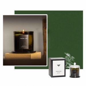 Pine trees in the forest